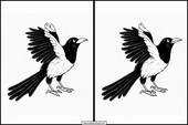 Magpies - Animals 3