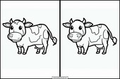 Cows - Animals 6