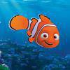 В поисках Немо