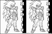 Dragon Ball Z 13