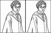 Harry Potter 28