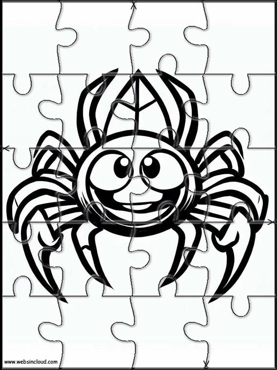 Spinnen - Tiere 3