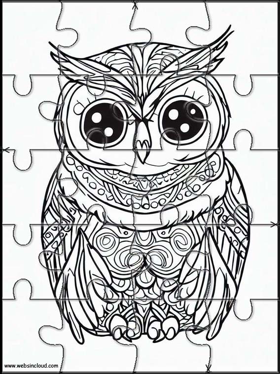 Owls - Animals 3