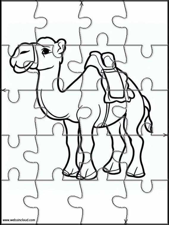 Camels - Animals 2