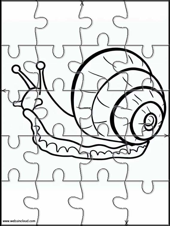 Snails - Animals 2