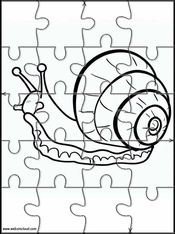 Schnecken - Tiere 2