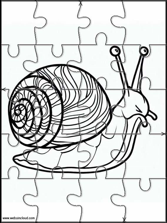 Schnecken - Tiere 3