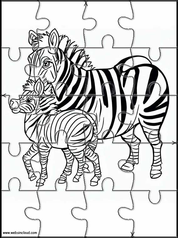 Zebras - Animals 6