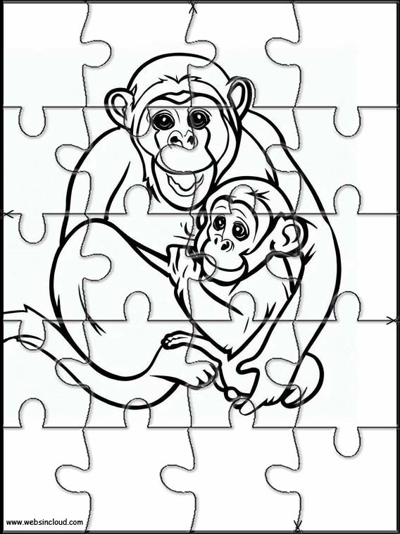 Chimpanzés - Animaux 1