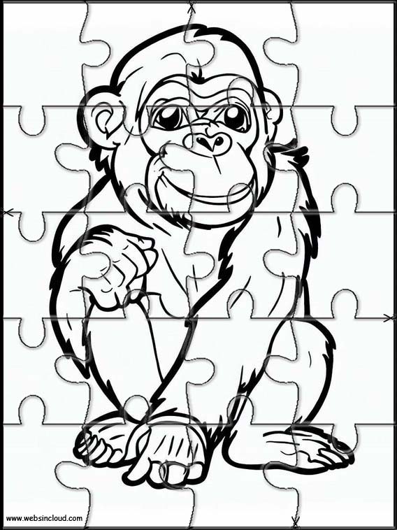 Chimpanzés - Animaux 2