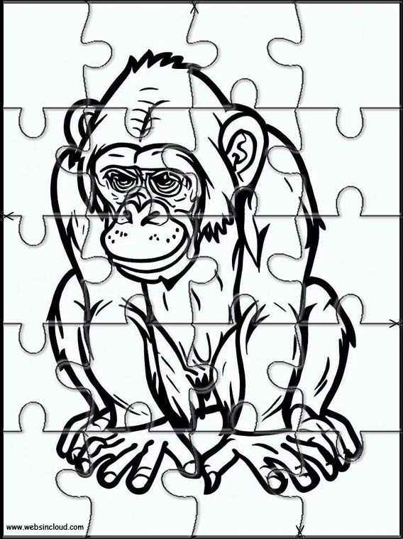 Schimpansen - Tiere 3