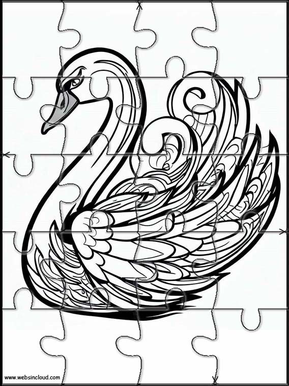 Swans - Animals 3