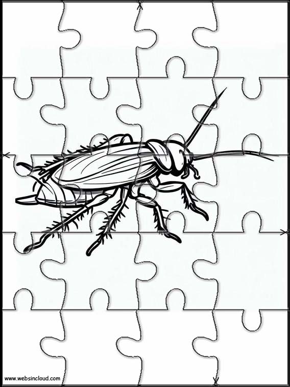 Kakkerlakken - Dieren 2