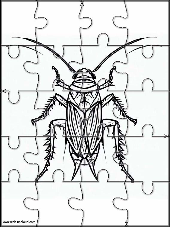 Kakkerlakken - Dieren 4
