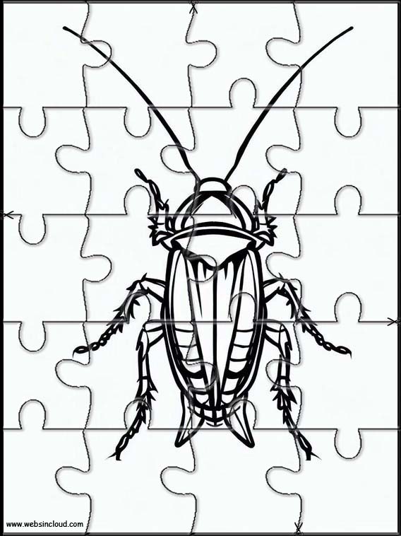 Kakkerlakken - Dieren 5