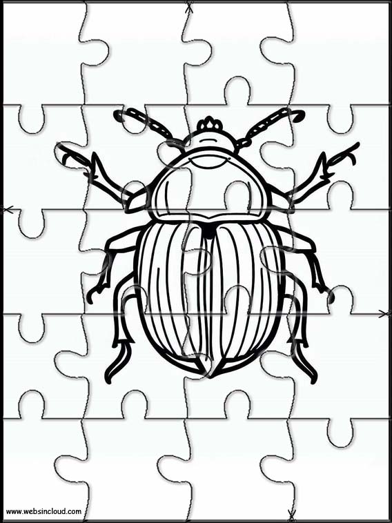 Escarabajos - Animales 2