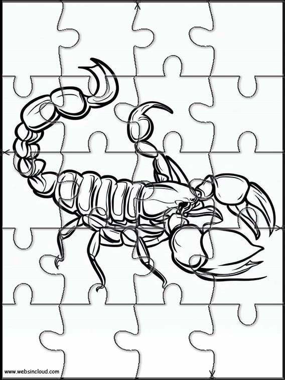 Schorpioenen - Dieren 3