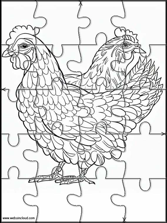 Poules - Animaux 4