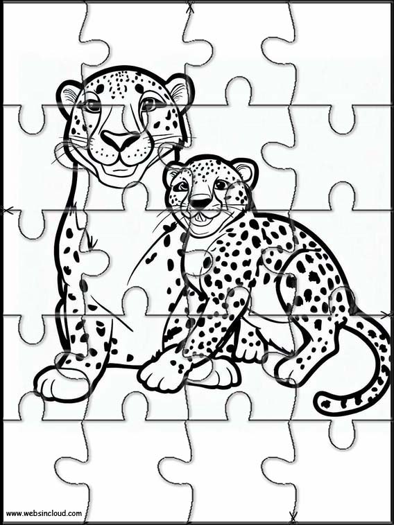 Cheetahs - Animals 3