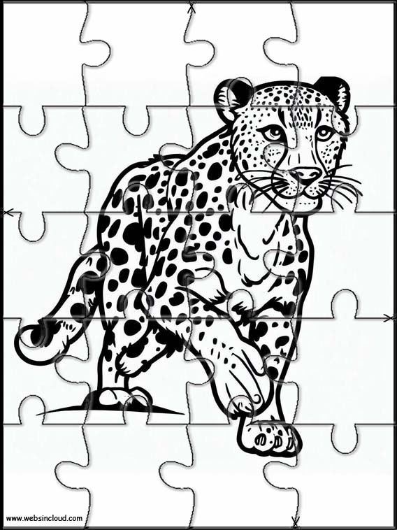 Gepard - Dyr 4