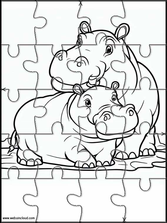 Hipopótamos - Animais 2
