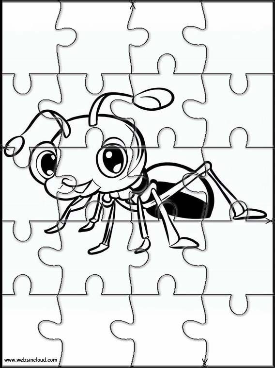 Formigas - Animais 3