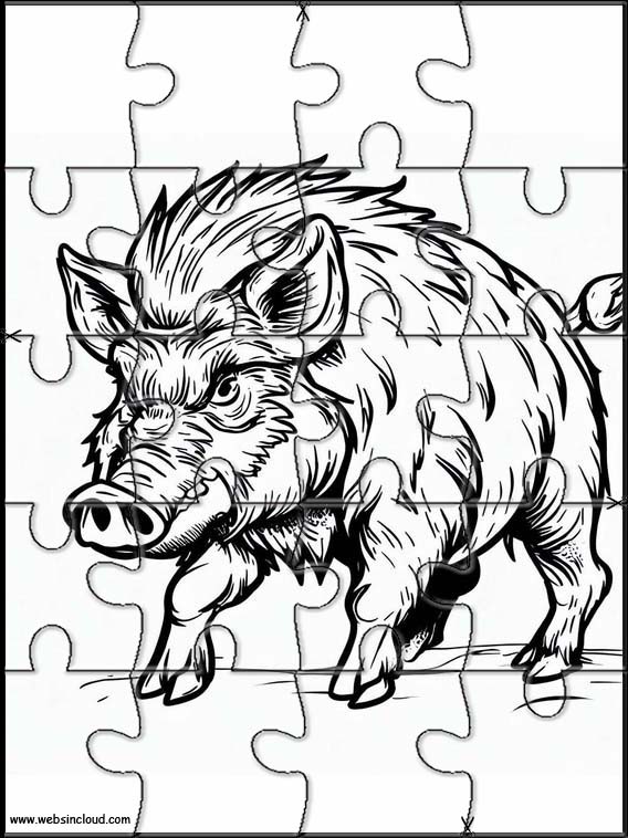 Wild Boar - Animals 3