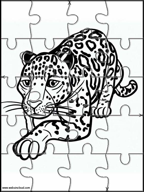 Jaguar - Animaux 6