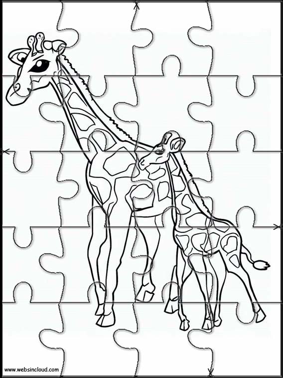 Giraffen - Dieren 4