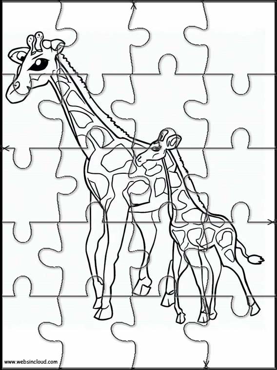 Giraffes - Animals 4