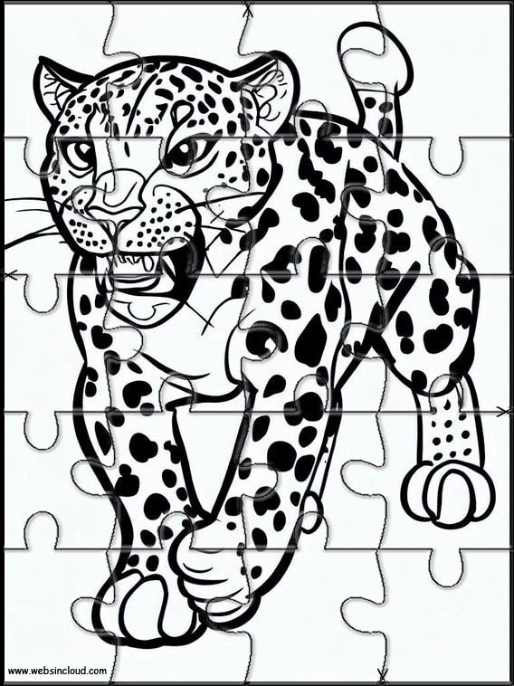 Leopards - Animals 1