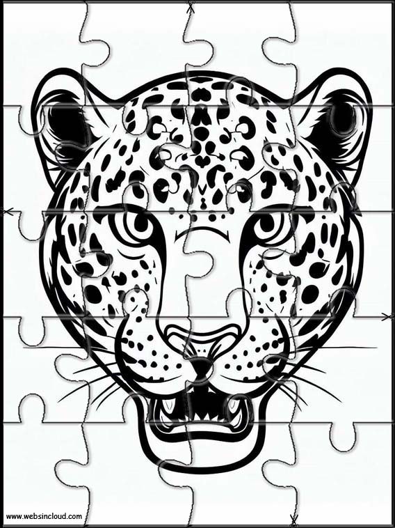 Leopard - Dyr 3