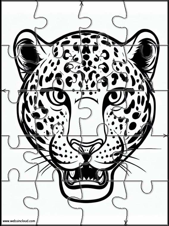 Leoparden - Tiere 3