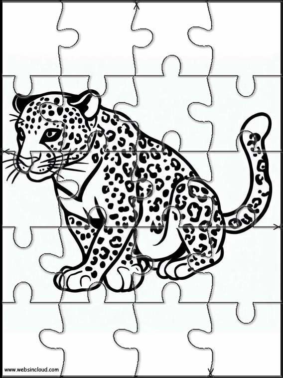 Leoparden - Tiere 5