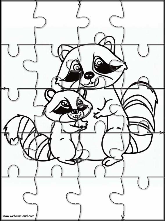 Raccoons - Animals 3