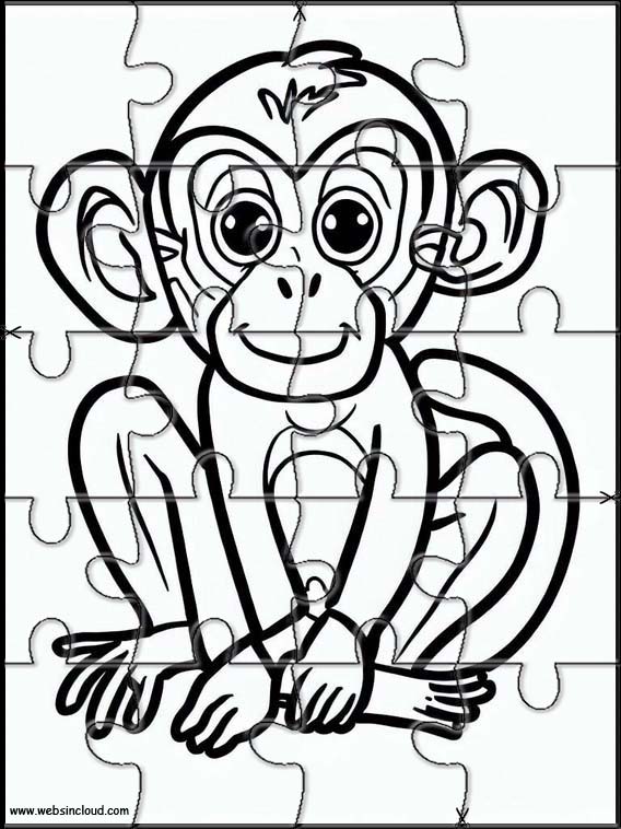 Macacos - Animais 2
