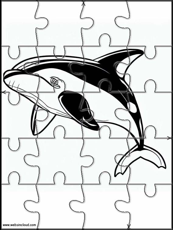Orcas - Animais 1
