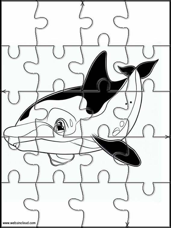 Orcas - Animais 3