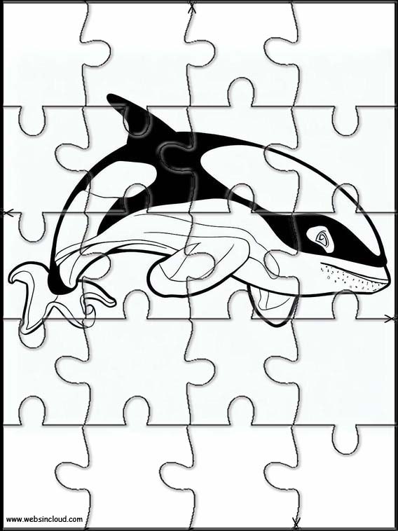 Orcas - Animais 4
