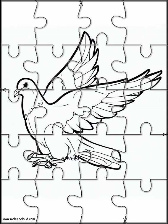 Pigeons - Animaux 5
