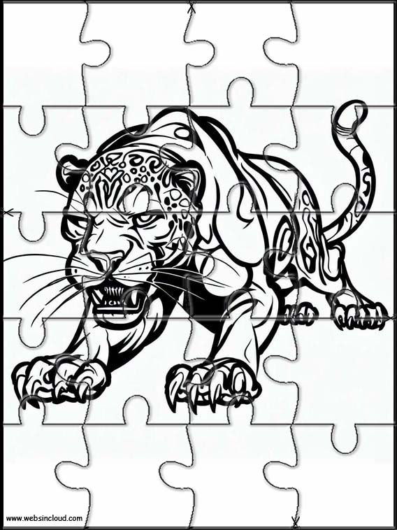 Panthers - Animals 3