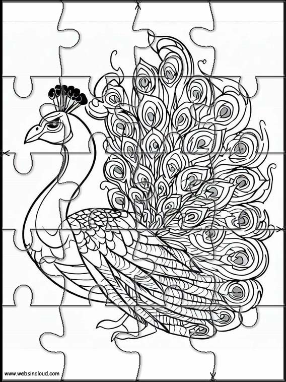 Peacocks - Animals 1