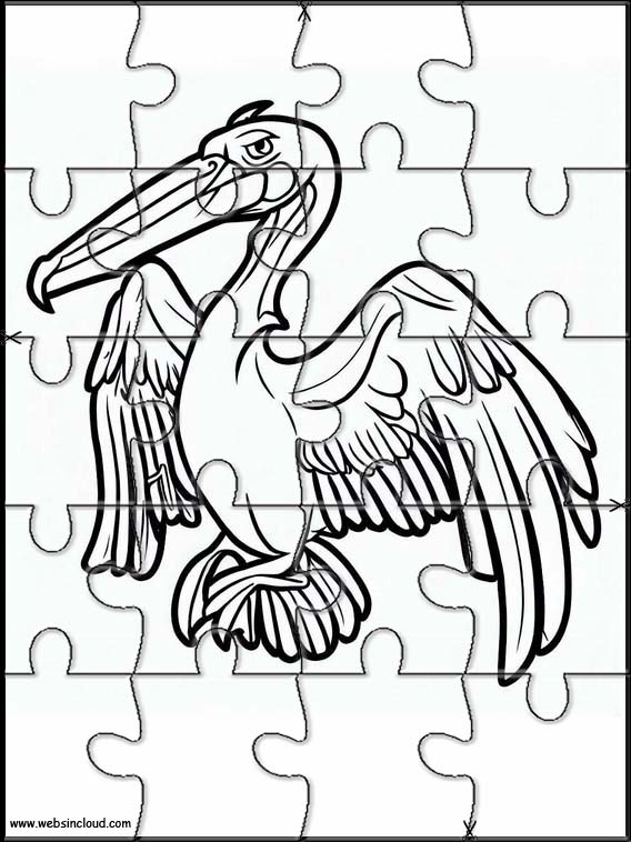 Pelikaner - Dyr 1