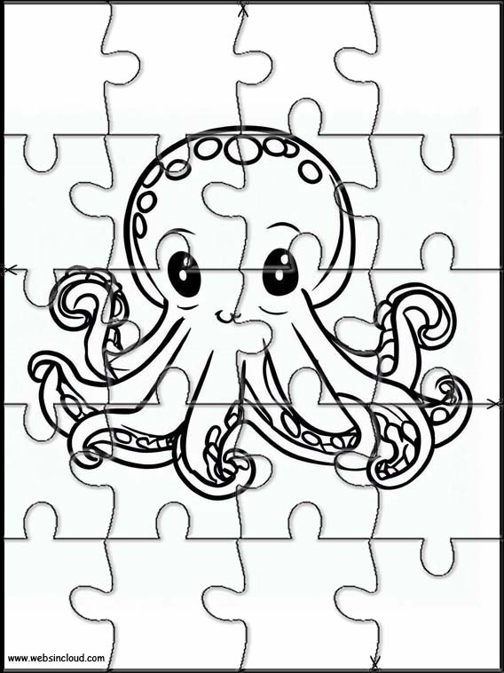 Octopuses - Animals 5