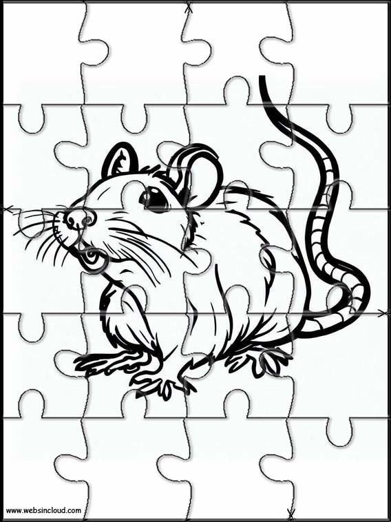 Rats - Animals 1