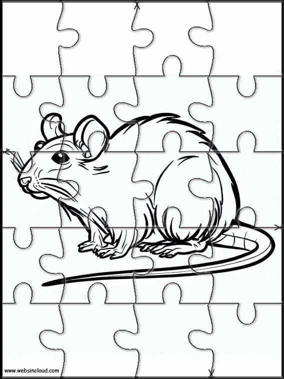 Ratten - Tiere 2