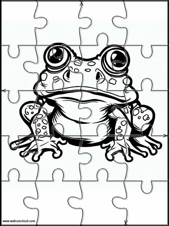 Toads - Animals 3