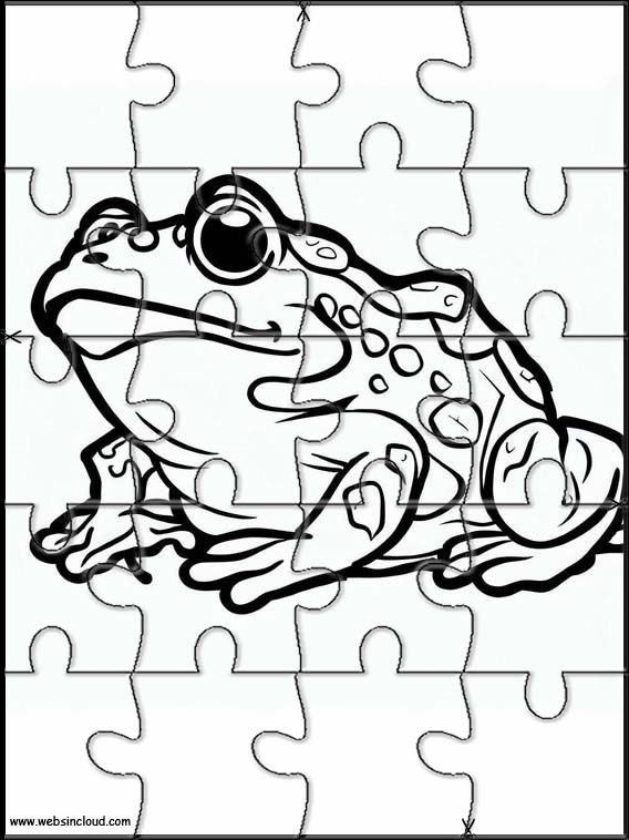 Toads - Animals 4