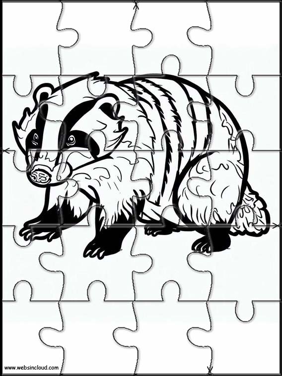 Badgers - Animals 4