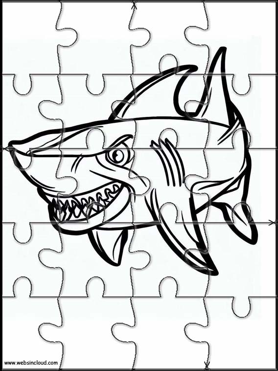 鯊魚 1
